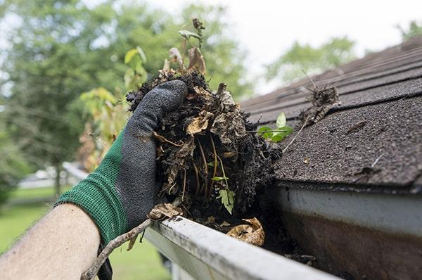 gutter cleaning for a single-story home typically costs around $150