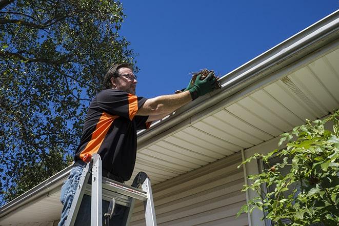 a repairman inspecting a clogged gutter for debris in Agawam